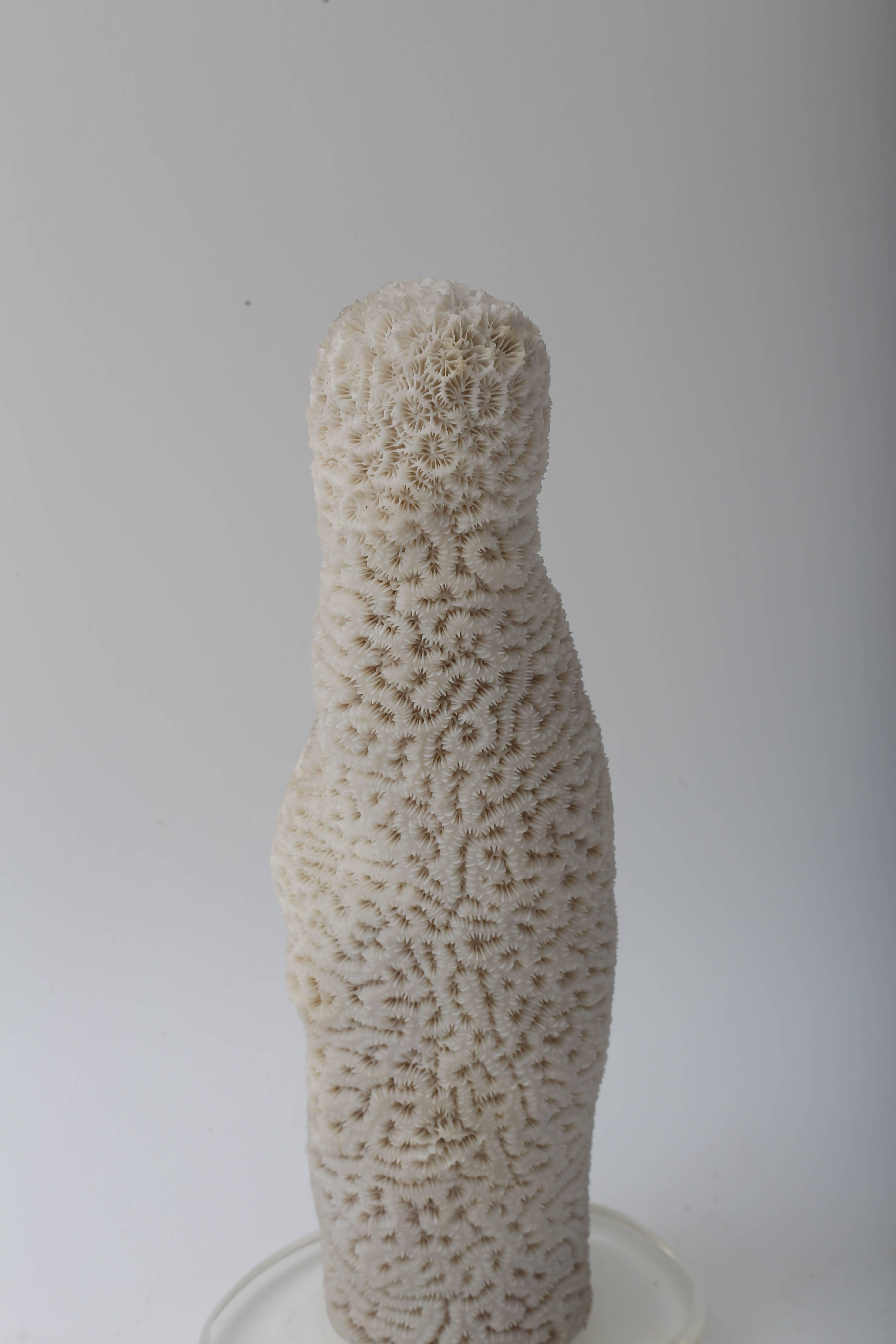 Organic Modern White Specimen Coral For Sale