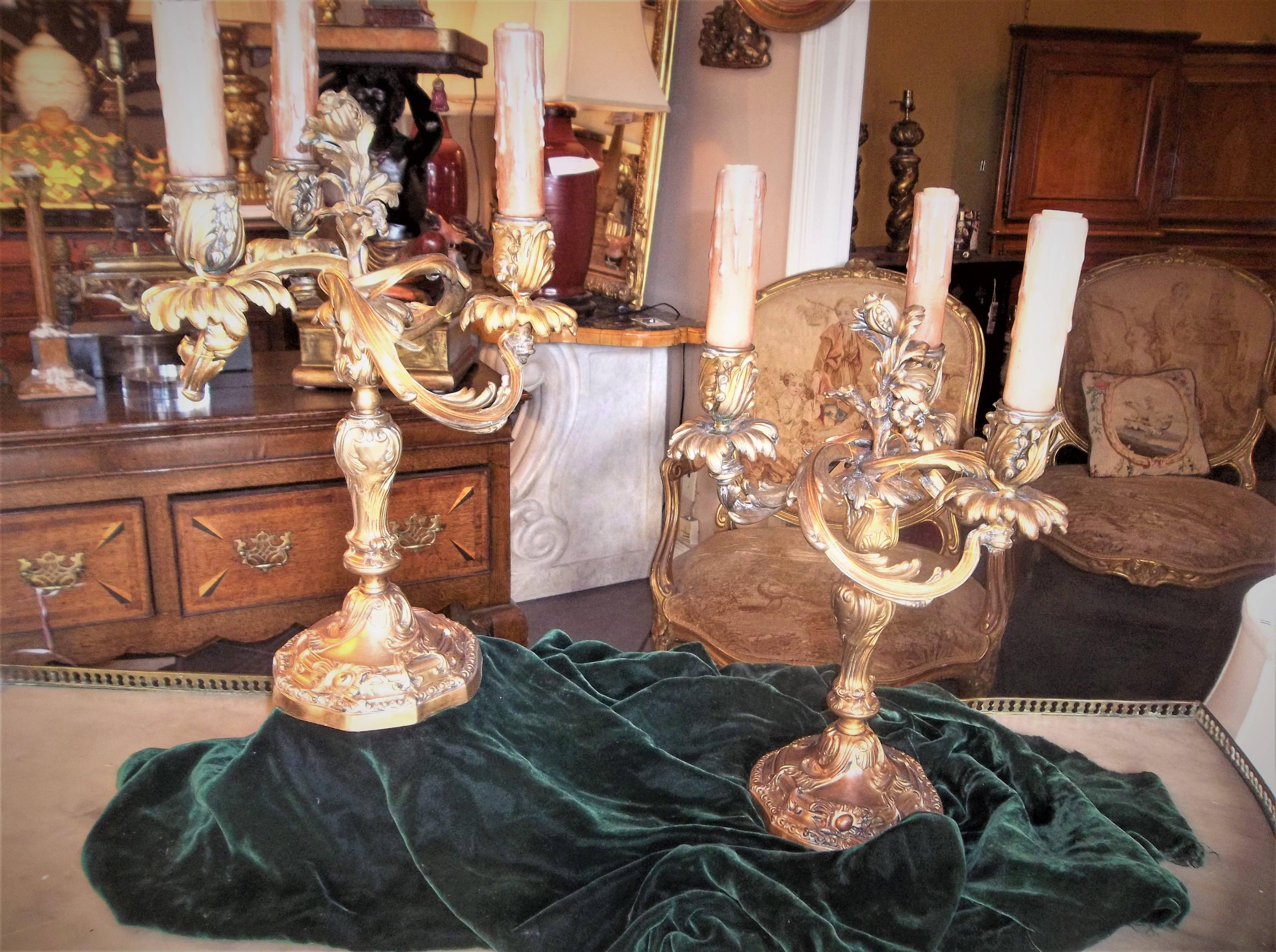 Pair of candelabra in Louis Xv (rococo style ) . Lavishly executed with good detail  . 
Newly wired . Significant loss and wear of gilding throughout but particularly to the bases (please note the photos ) . With dirt , grime and other wear and use