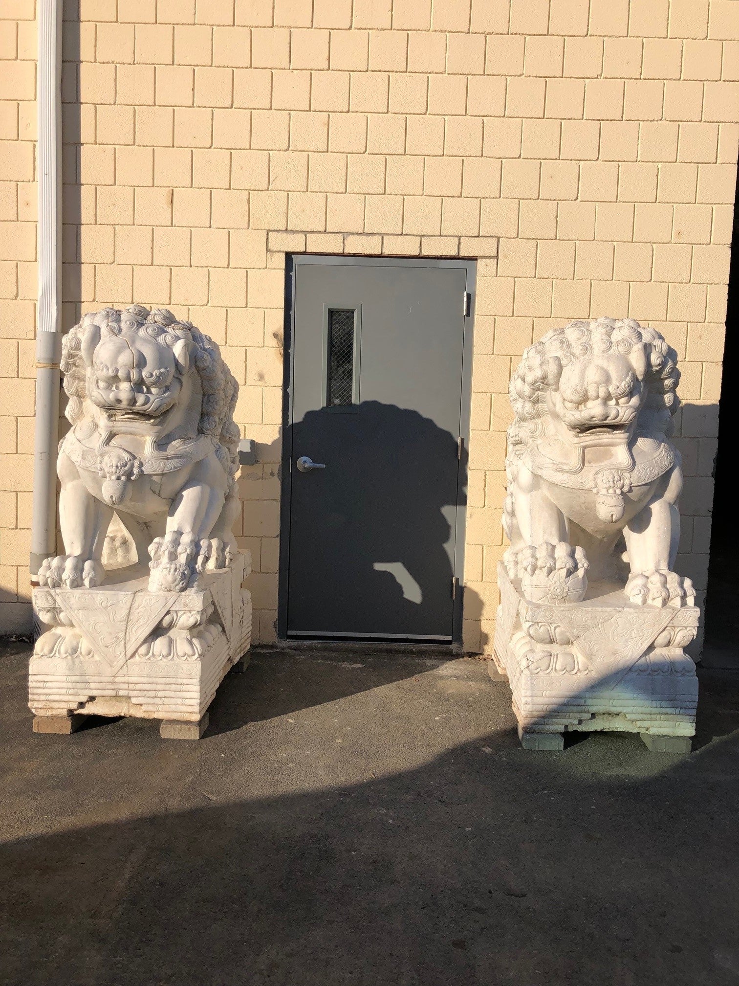 Paire monumentale de chiens Foo en marbre sculpté de Chine