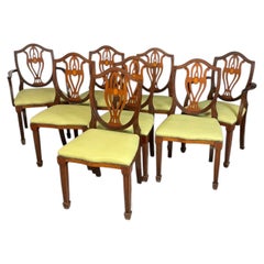 Set di 8 sedie da pranzo in mogano in stile Hepplewhite edoardiano