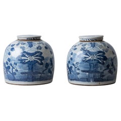 Pair of Chinese Blue and White Porcelain Ginger Jars, 20th Century
