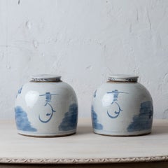 Pair of Chinese Blue and White Porcelain Ginger Jars, 20th Century