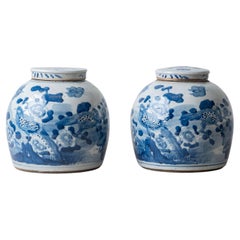 Pair of Chinese Blue and White Porcelain Bird and Peony Jars, 20th Century