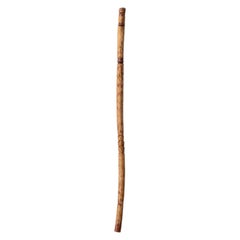 Vernon Edwards Walking Stick, 1980s