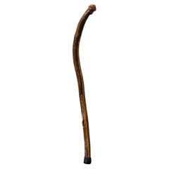 Vernon Edwards Carved Walking Stick, Savannah, 1980s