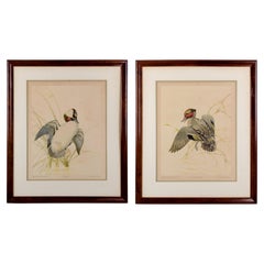 Quaker State Lithographing Company Duck Audubon Prints - A Pair