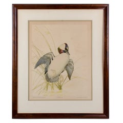 Quaker State Lithographing Company Duck Audubon Prints - A Pair