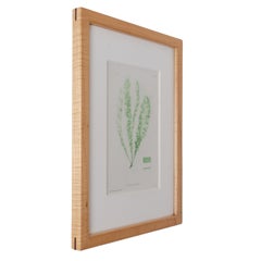 Bradbury Seaweed Print in Handcrafted Frame C.1859