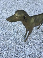 Sculptural Whippet Brass Dog