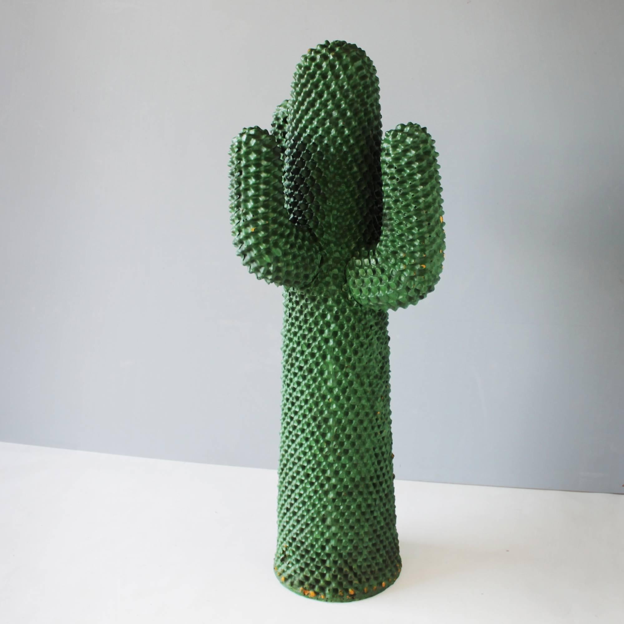 guido drocco cactus