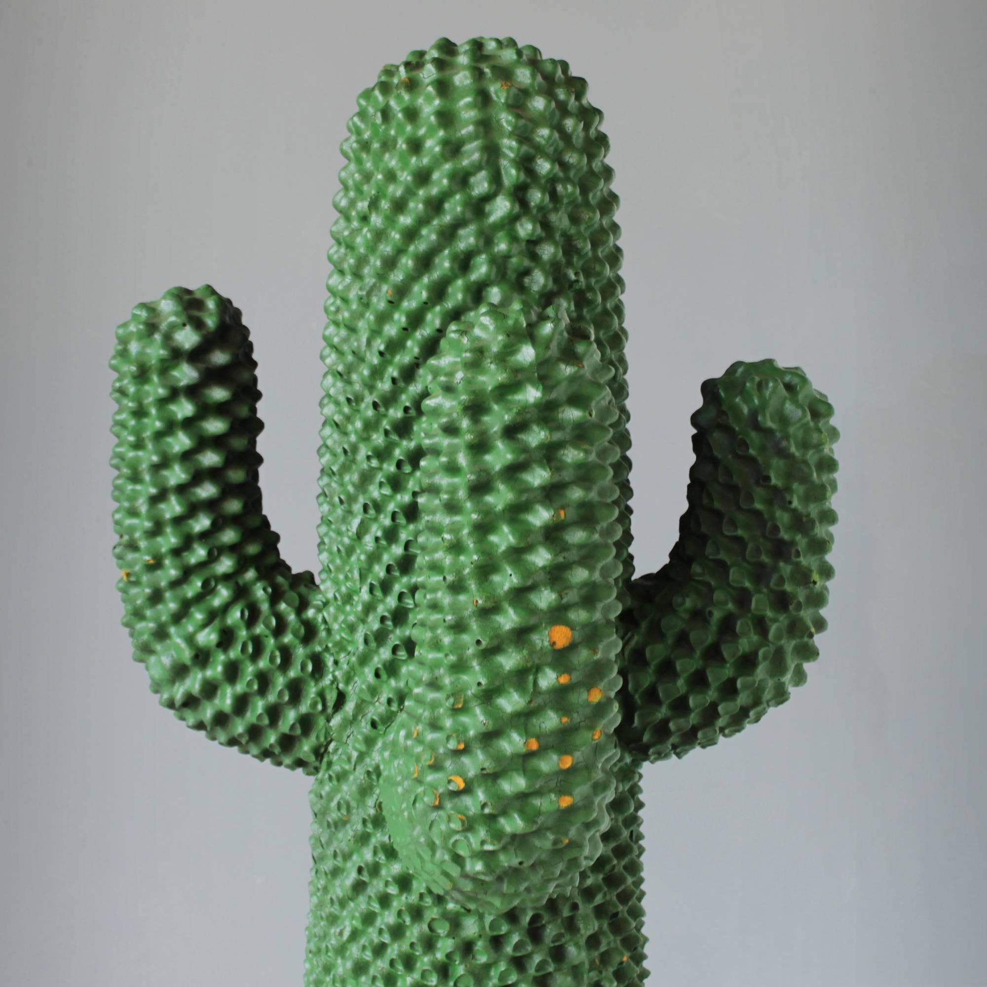 cactus guido drocco