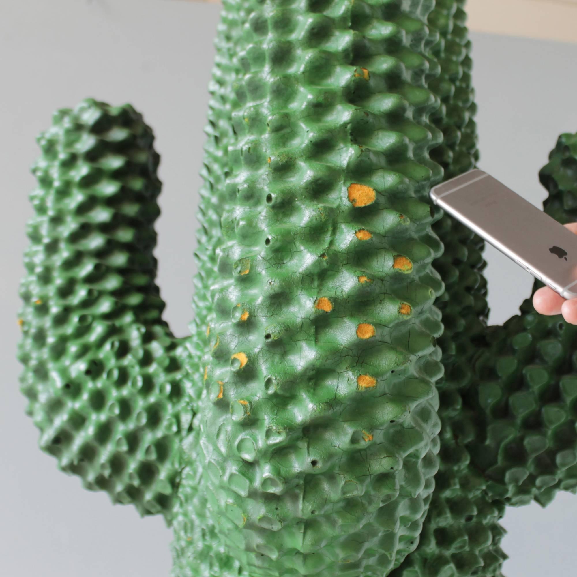 Italian Cactus by Guido Drocco and Franco Mello for Gufram