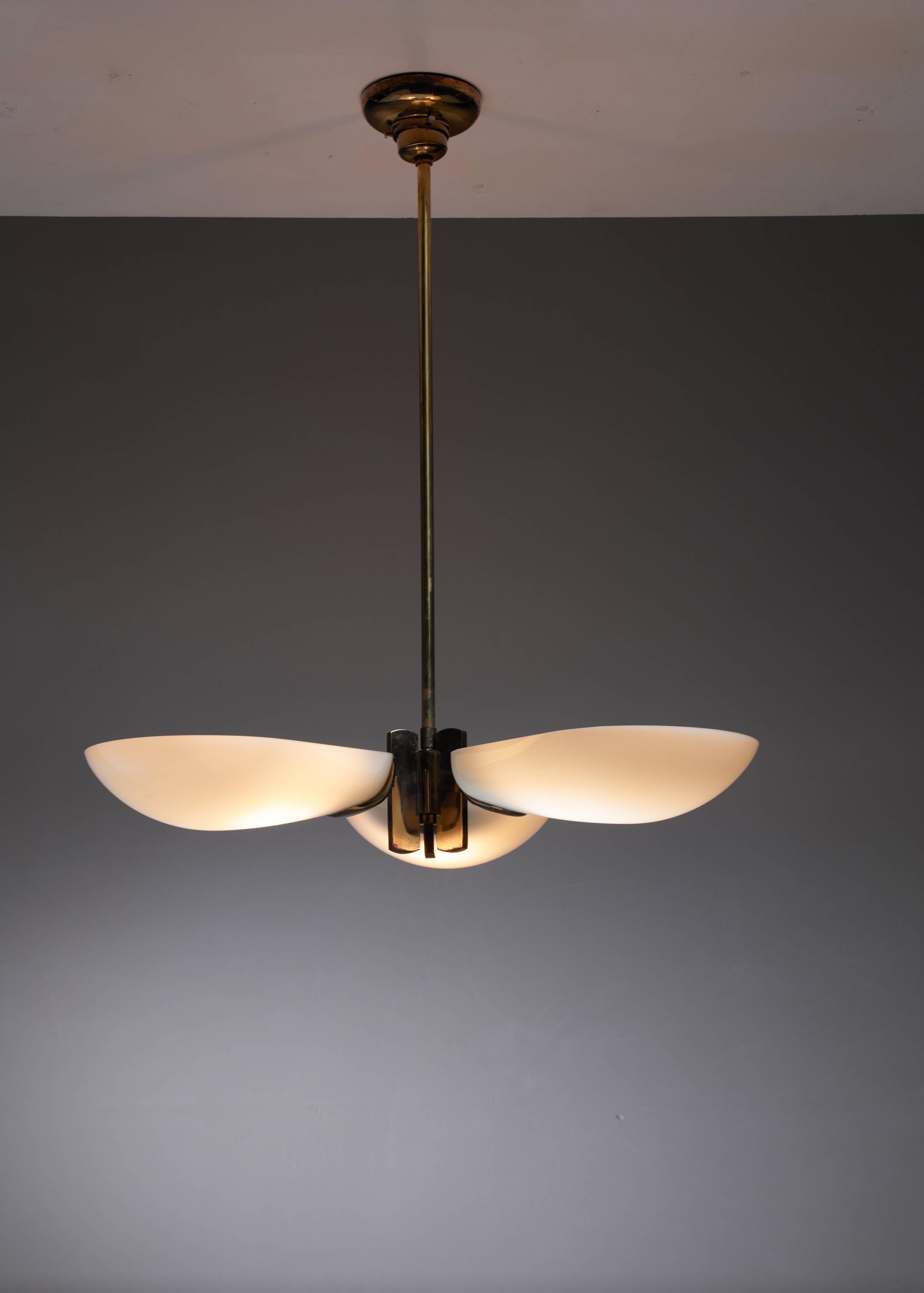 A large Swedish chandelier made of a heavy brass frame, holding three opaline glass shades.

Total drop can be adjusted to your requirements.

* This piece is offered to you by Bloomberry, Amsterdam *
 