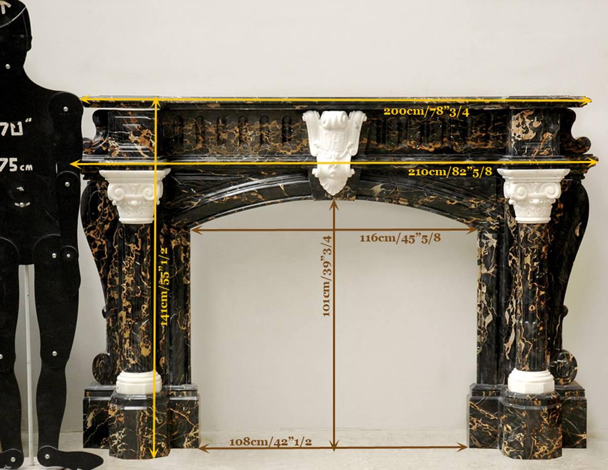 Exceptional Napoleon III Period Fireplace, Portor and Statuary Marble For Sale 2