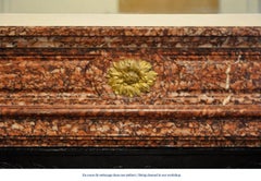 Antique Louis XVI Style Fireplace Mantel in Griotte Marble and Gilt Bronze