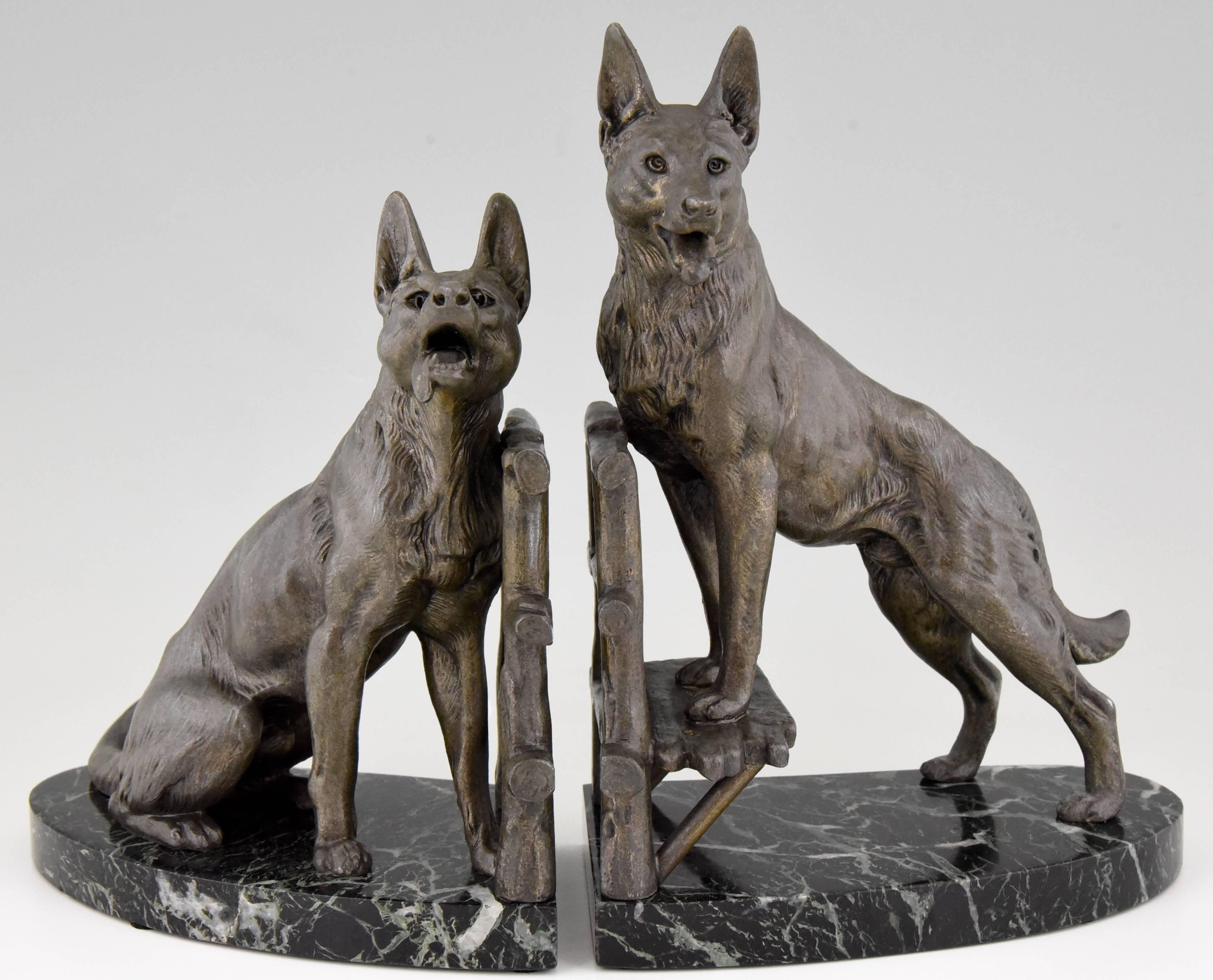 bronze dog bookends