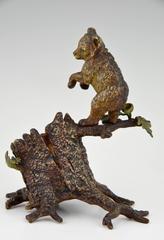 Ancien ours en bronze de Vienne sur un tronc d'arbre par Franz Bergman:: 1900