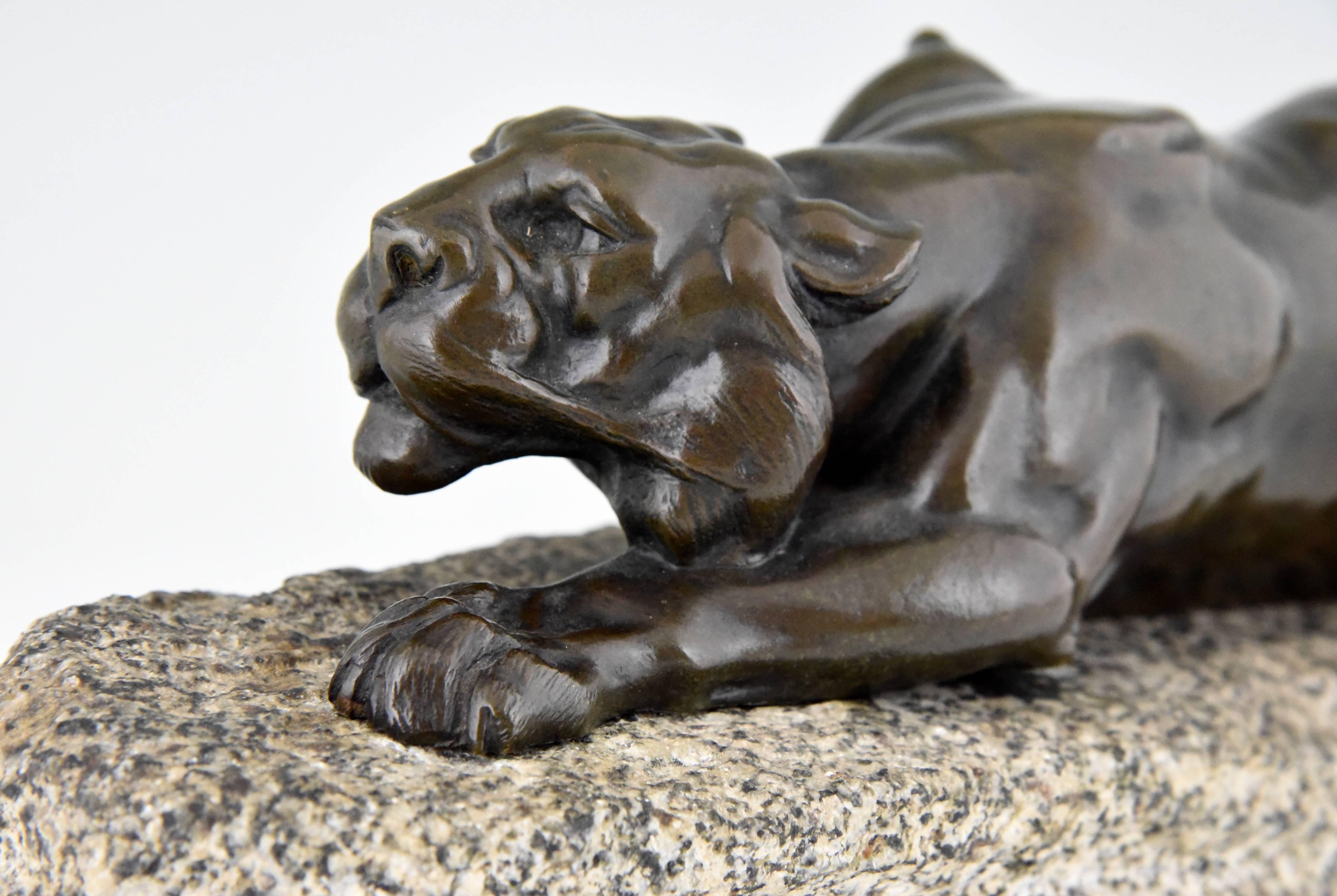 French Bronze sculpture Panther on a Rock by Leon Bureau, 1900 3