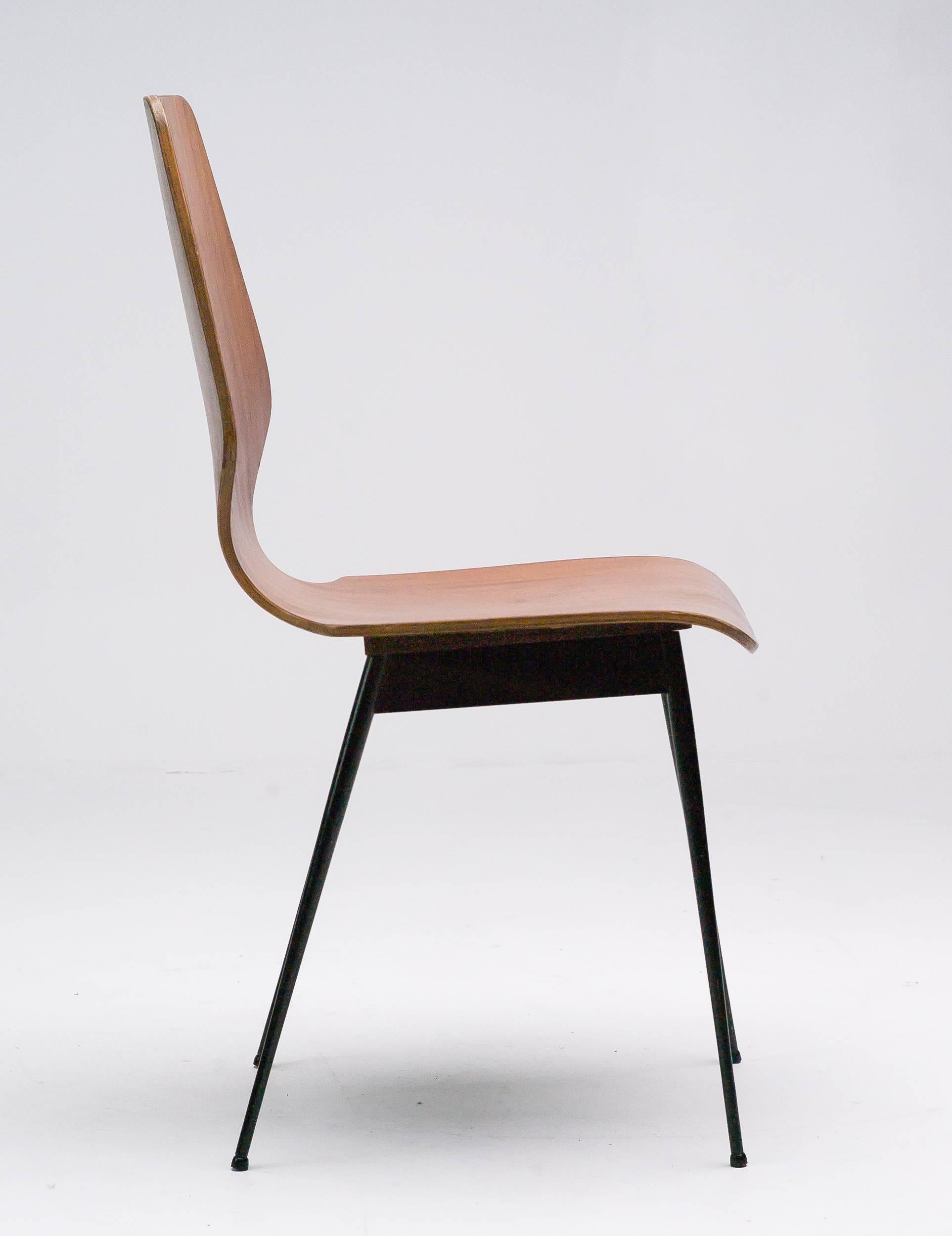 Steel Elegant Italian Plywood Dining Chairs