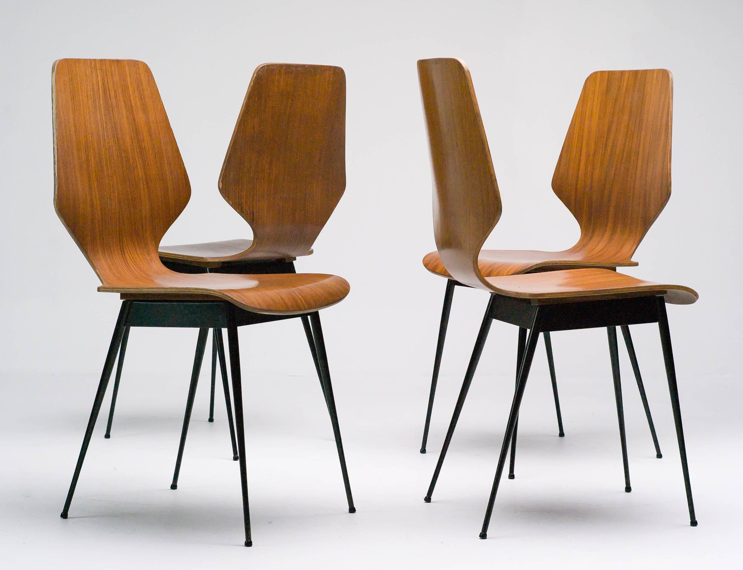 Elegant Italian Plywood Dining Chairs 1