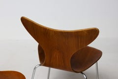 Set of Four "Lily" Chairs by Arne Jacobsen for Fritz Hansen, Teak, Denmark, 1971