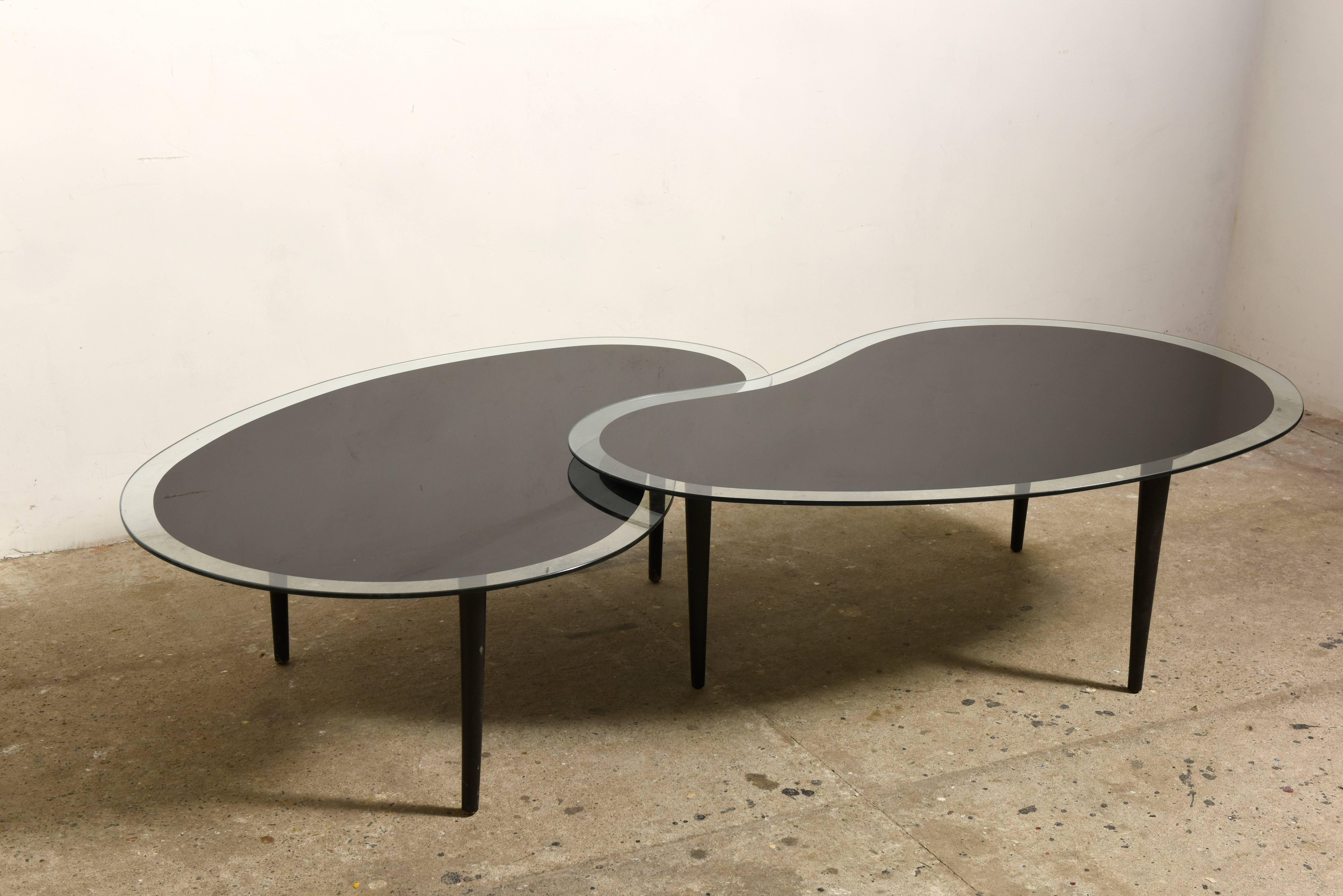 Organic vintage nesting kidney shaped black lacquer elevated glass top coffee tables with adjustable tapered legs black lacquered. The traditional form is modified so that two tables can link or nest together to create one larger form or can be