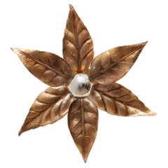 Brass Flower Leave Sconces in style of Willy Daro, 1970s, Belgium
