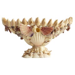 Antique Sea Shells or Coquillage Large Centerpiece, Turn of the 19th-C