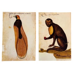 Renaissance Natural History Prints, Pair of Pomar Codex Facsimiles, 1990s