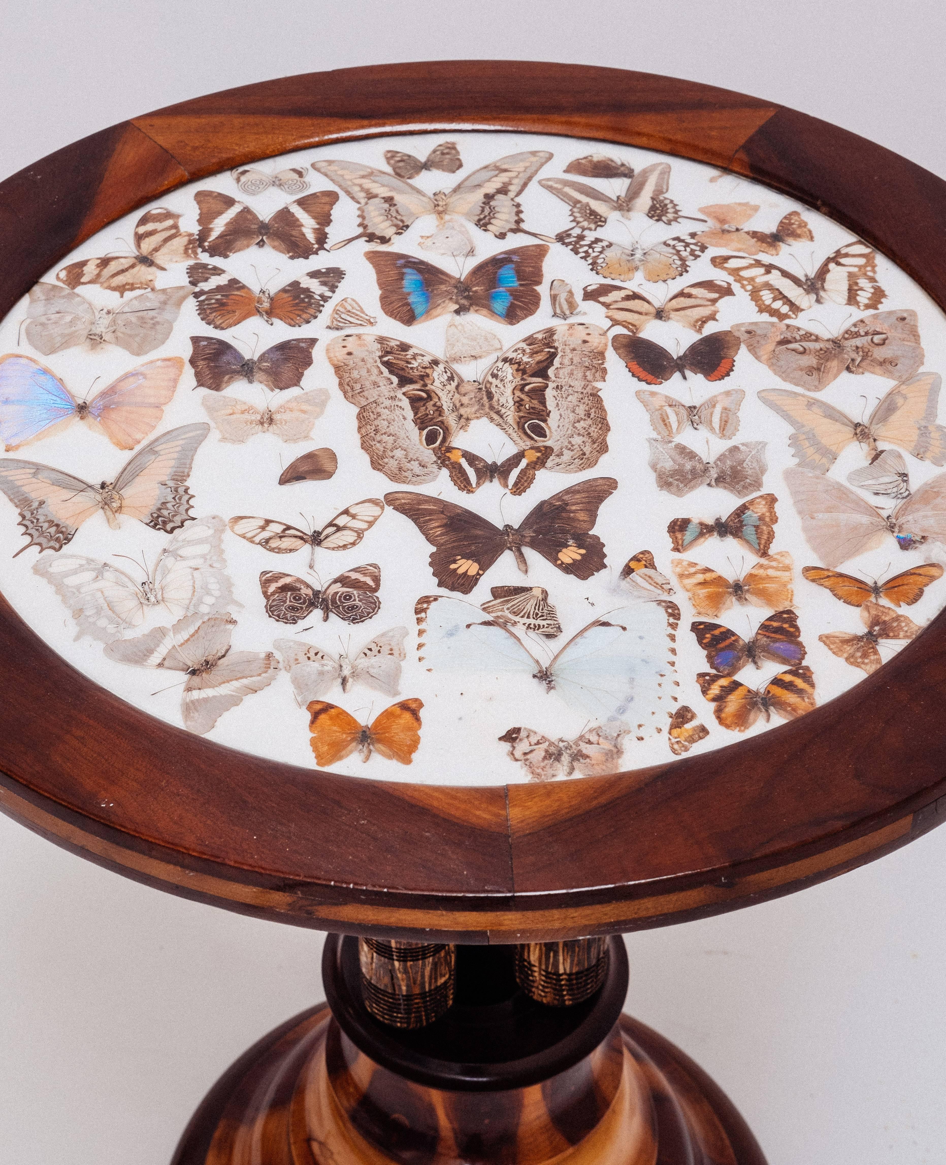 Great jacaranda wood side table decorated with dried butterflies on the surface. Underneath the tabletop there is a large series of export stamps by the Brazilian government.
Truly great eyecatcher.