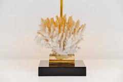 Willy Daro Attributed Table Lamp with Coral, Belgium, 1970