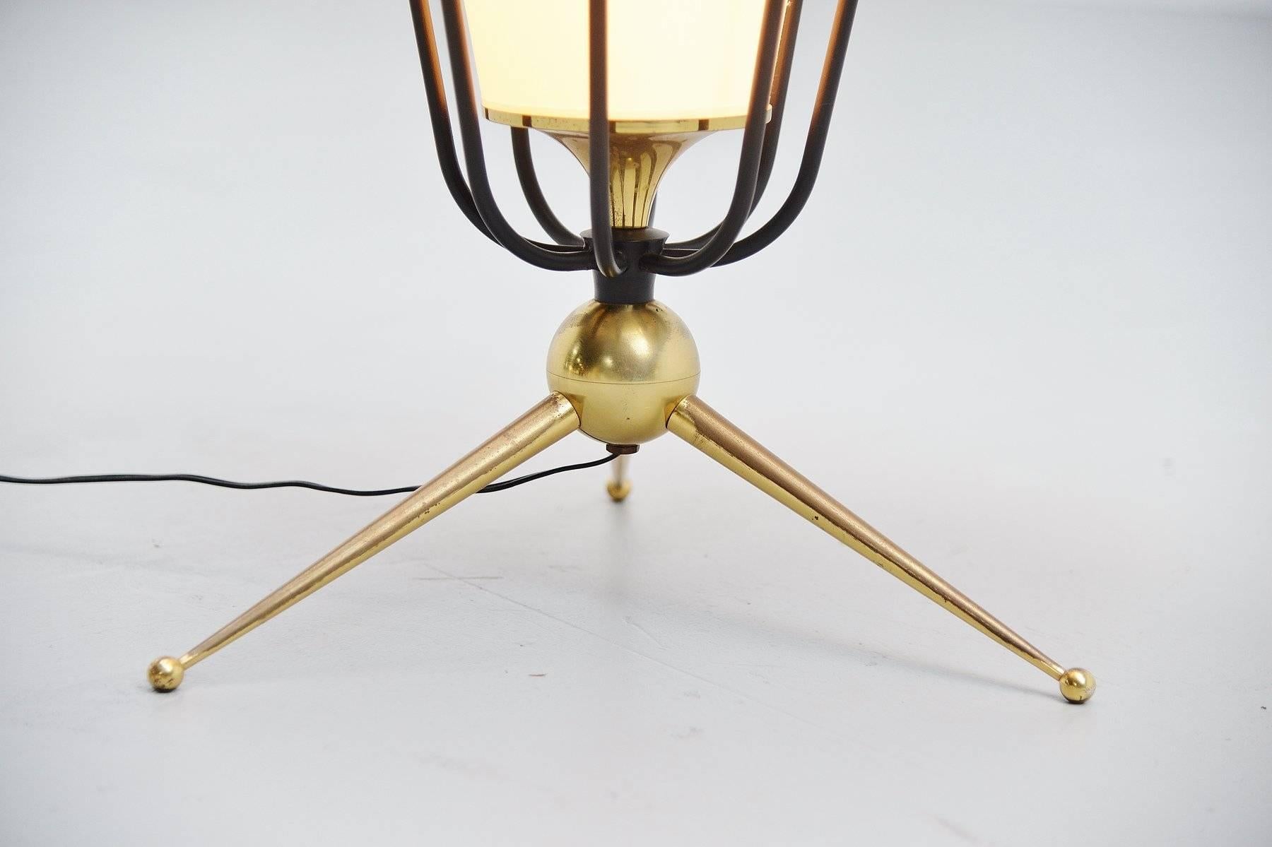Lacquered Pierre Guariche Attributed Floor Lamp, France, 1950