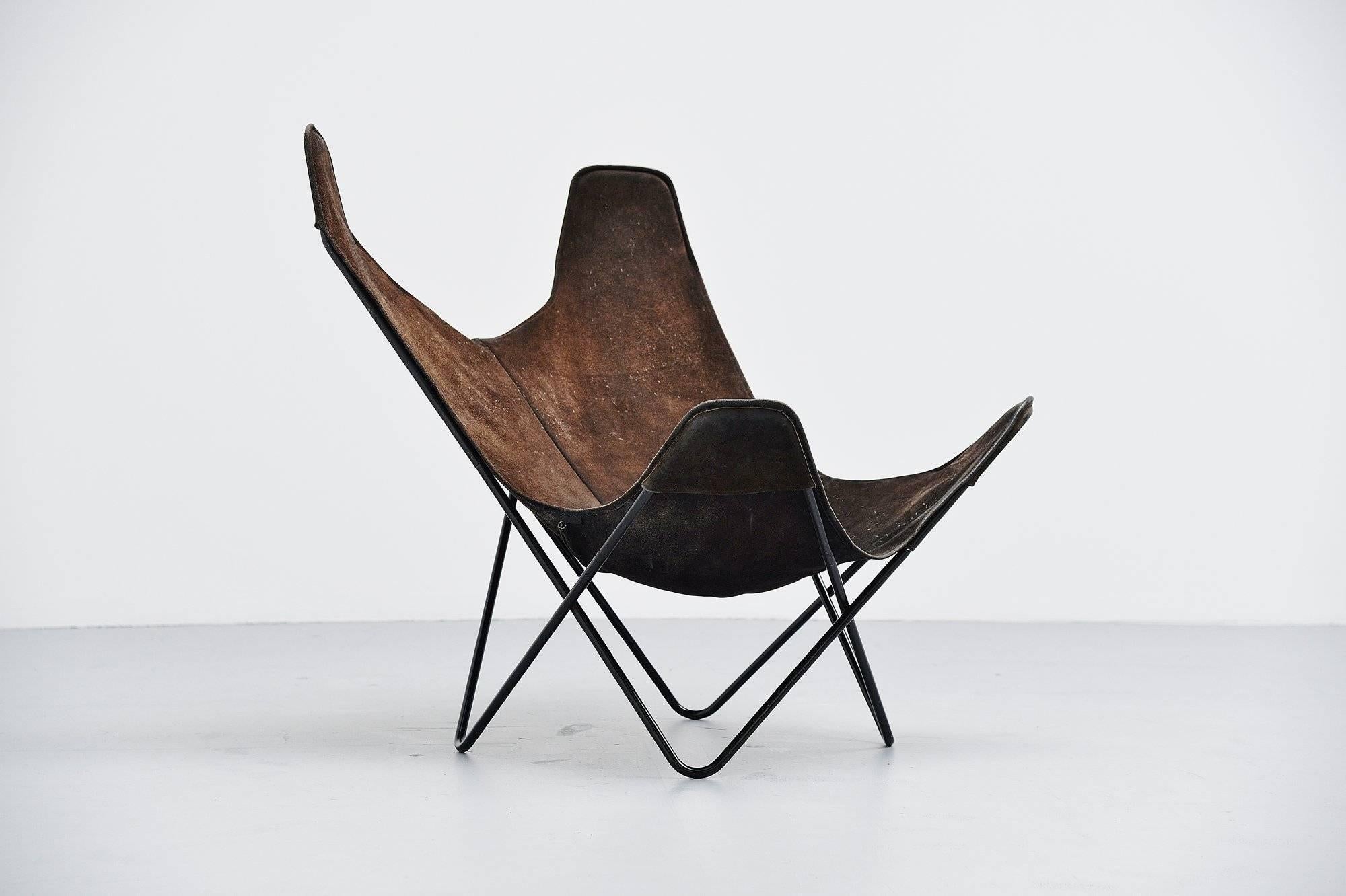 Iconic lounge chair designed by Jorge Hardoy-Ferrari for Knoll, USA 1970. This lounge chair is probably one of the most copied chairs ever. Since the chair was designed in the 1950s without copyright, every company could make it. This is the only