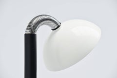 Luci Adjustable Floor Lamp, Italy, 1970