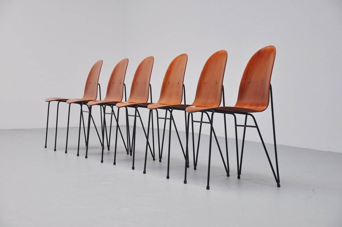 Beautiful dining chairs attributed to Augusto Bozzi for Saporiti, Italy, 1950. Superb shaped dining chairs with a teak plywooden shell and solid metal legs, black lacquered. The chairs are in magnificent condition, a few professional veneer repairs