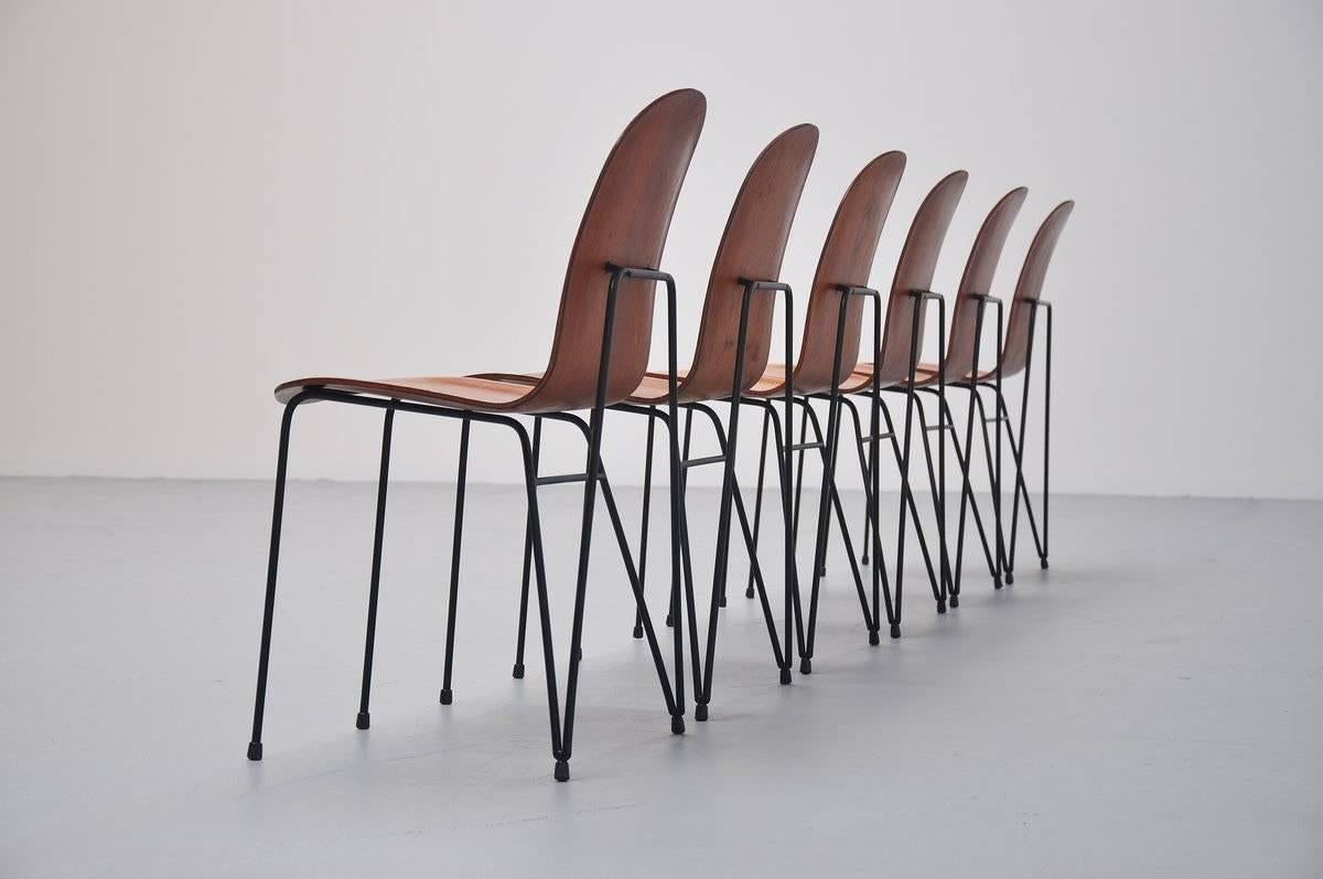 Lacquered Plywood Dinner Chairs Made in Italy, 1950