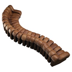 De Sede Sofa Model 'Snake DS-600' in Brown Leather