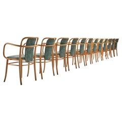 Large Set of Bentwood Armchairs in Green Upholstery