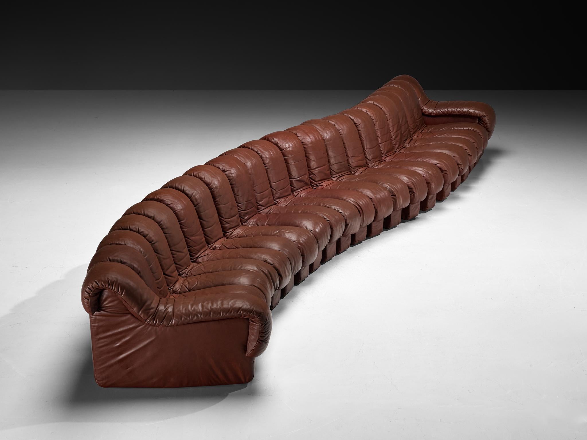 Pelle De Sede DS-600 - Divano componibile 'Snake' in pelle marrone in vendita