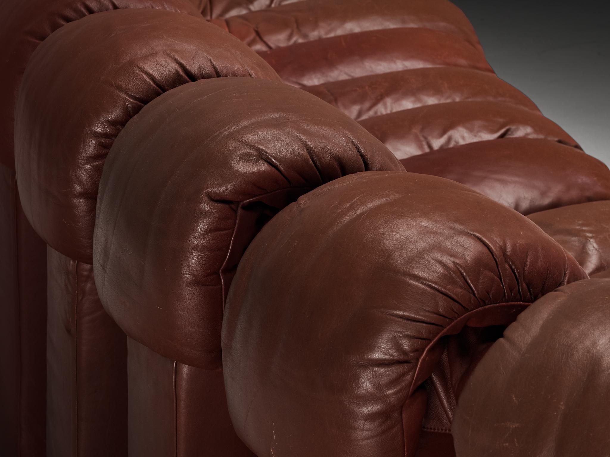 De Sede DS-600 - Divano componibile 'Snake' in pelle marrone in vendita 1