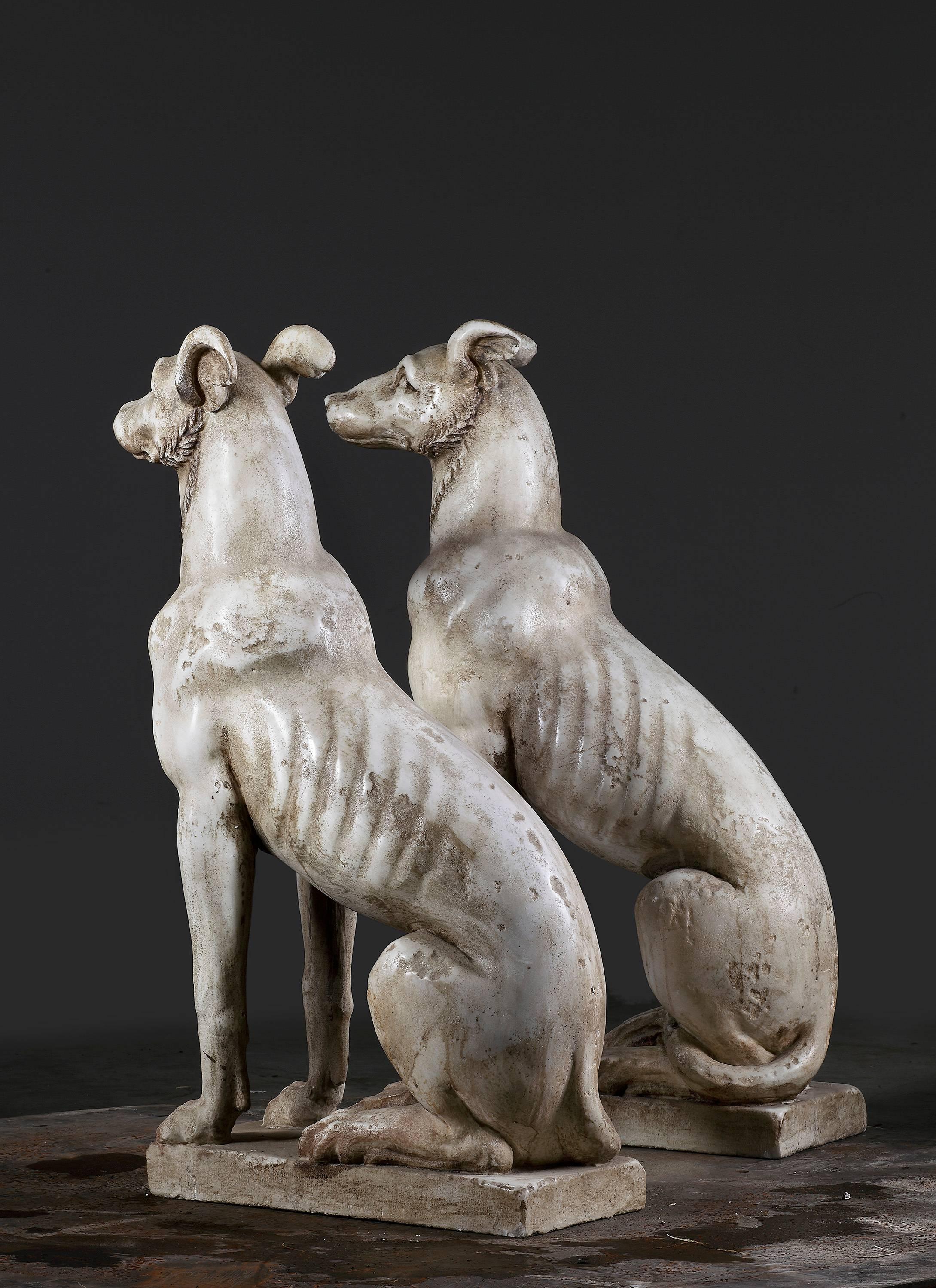 A pair of continental sculpted white marble seated hounds, 20th century. On integrally carved rectangular bases.