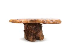 Burl High Gloss Coffee Table