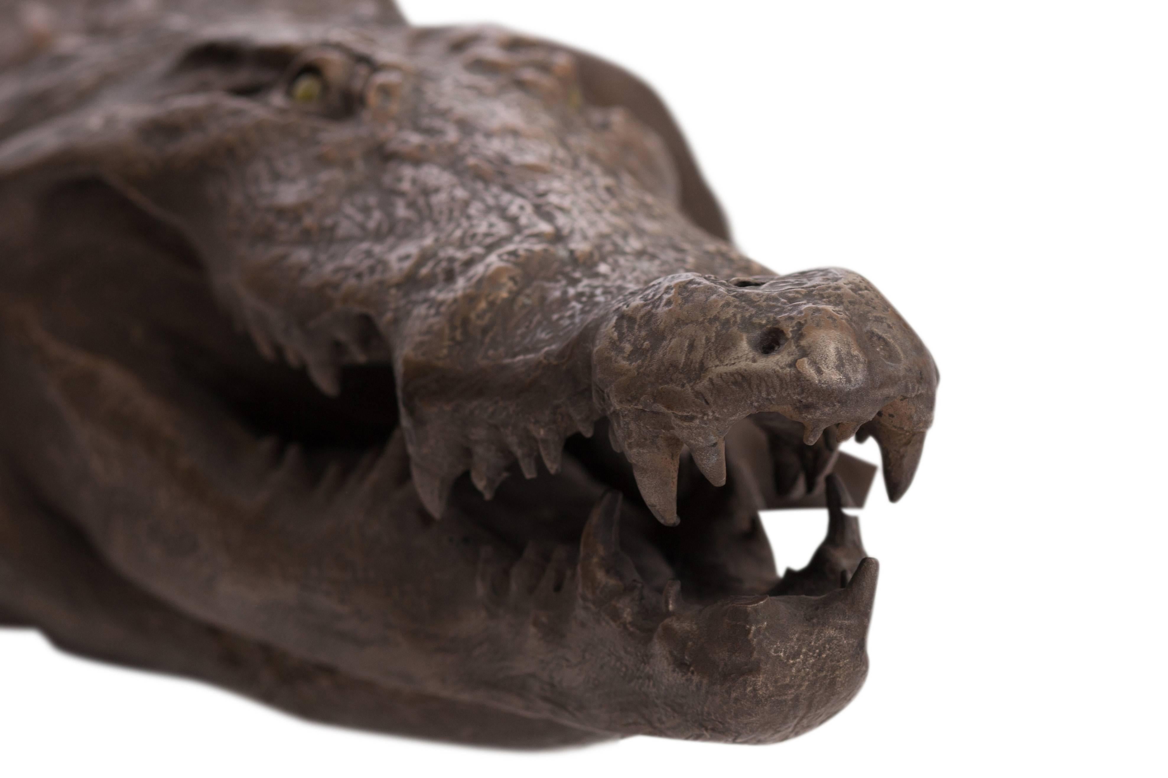 British Bronzed Life-Size Crocodile sculpture 