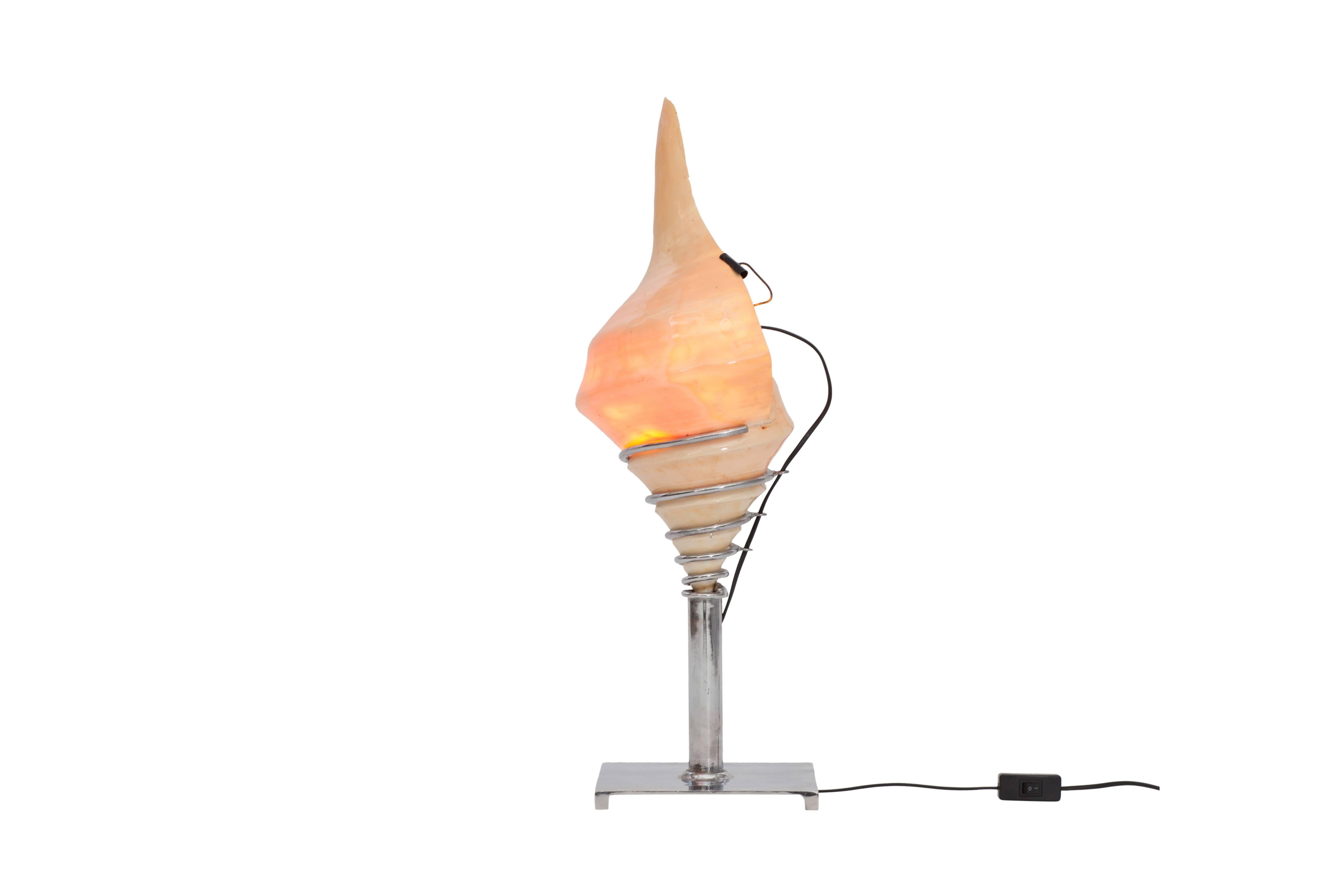 Mid-Century Modern Conch Shell Lamp In Good Condition In Antwerp, BE