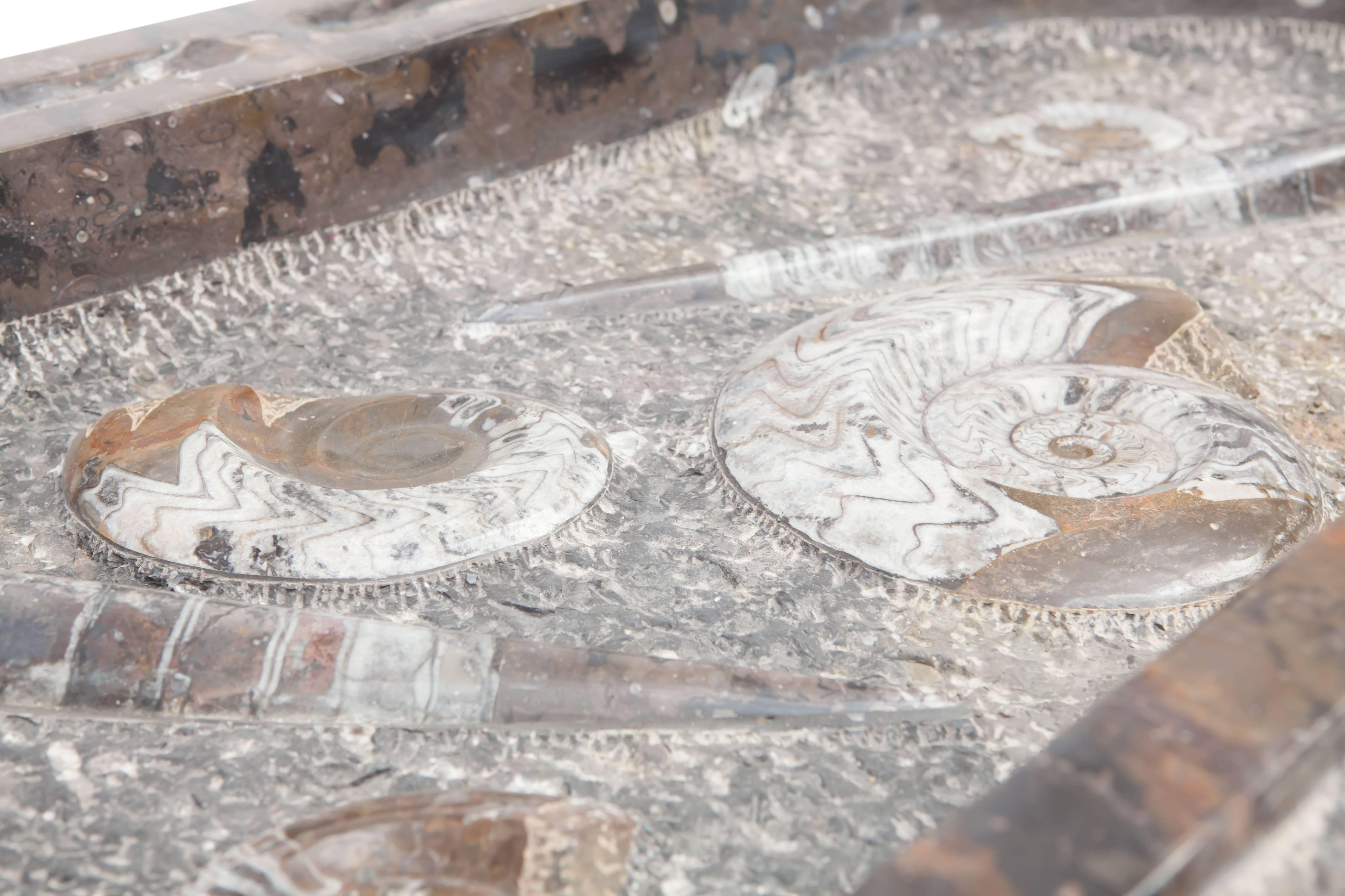 19th Century Marble and fossile coffee Table