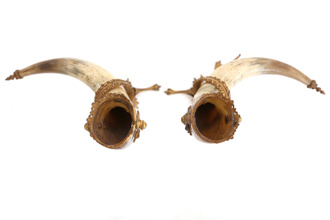 decorative antique pair of Mounted Horns In Excellent Condition In Antwerp, BE