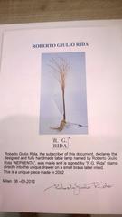 Monumental Roberto Giulio Rida Table Lamp