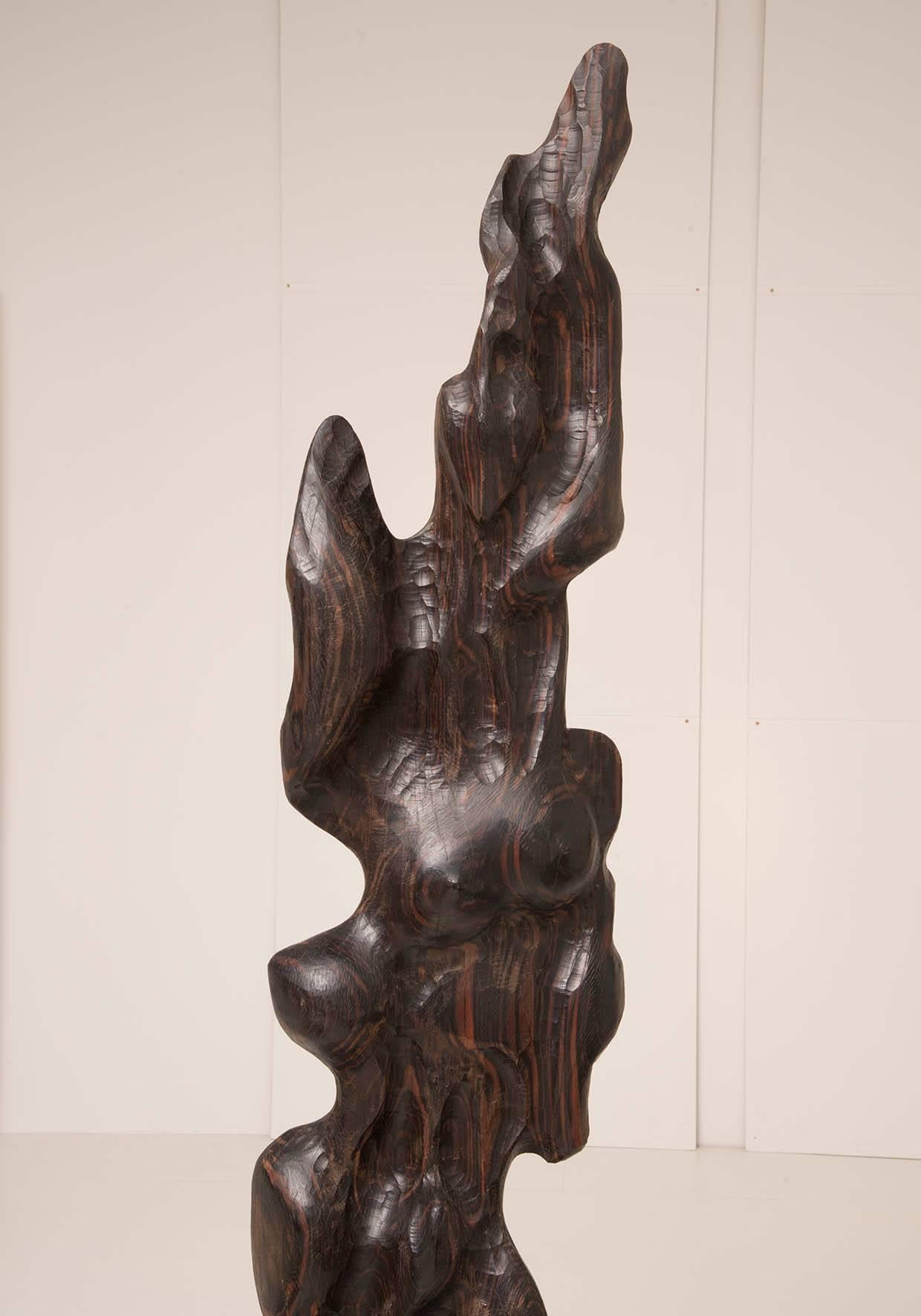 Monumental 1960s Macassar Ebony Sculpture For Sale 1