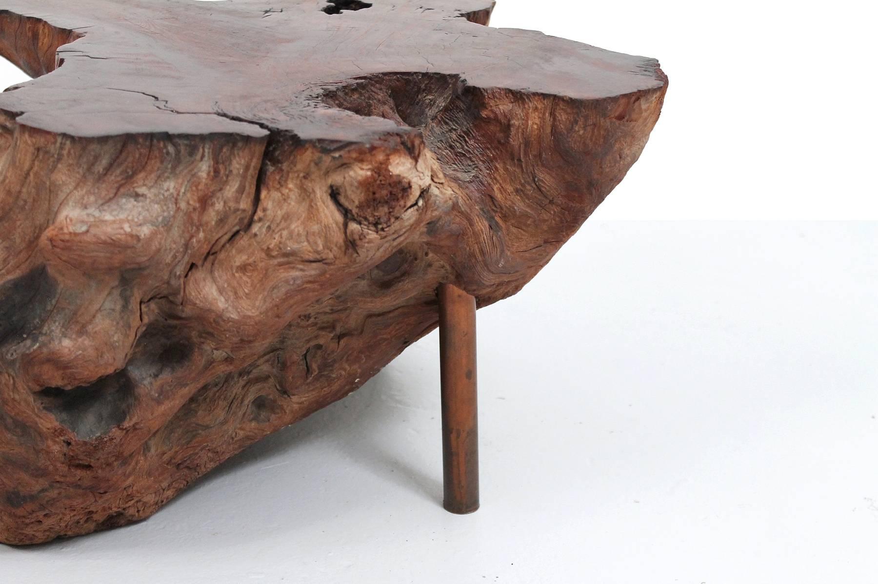 Burl Wood and Copper Stump Table 2
