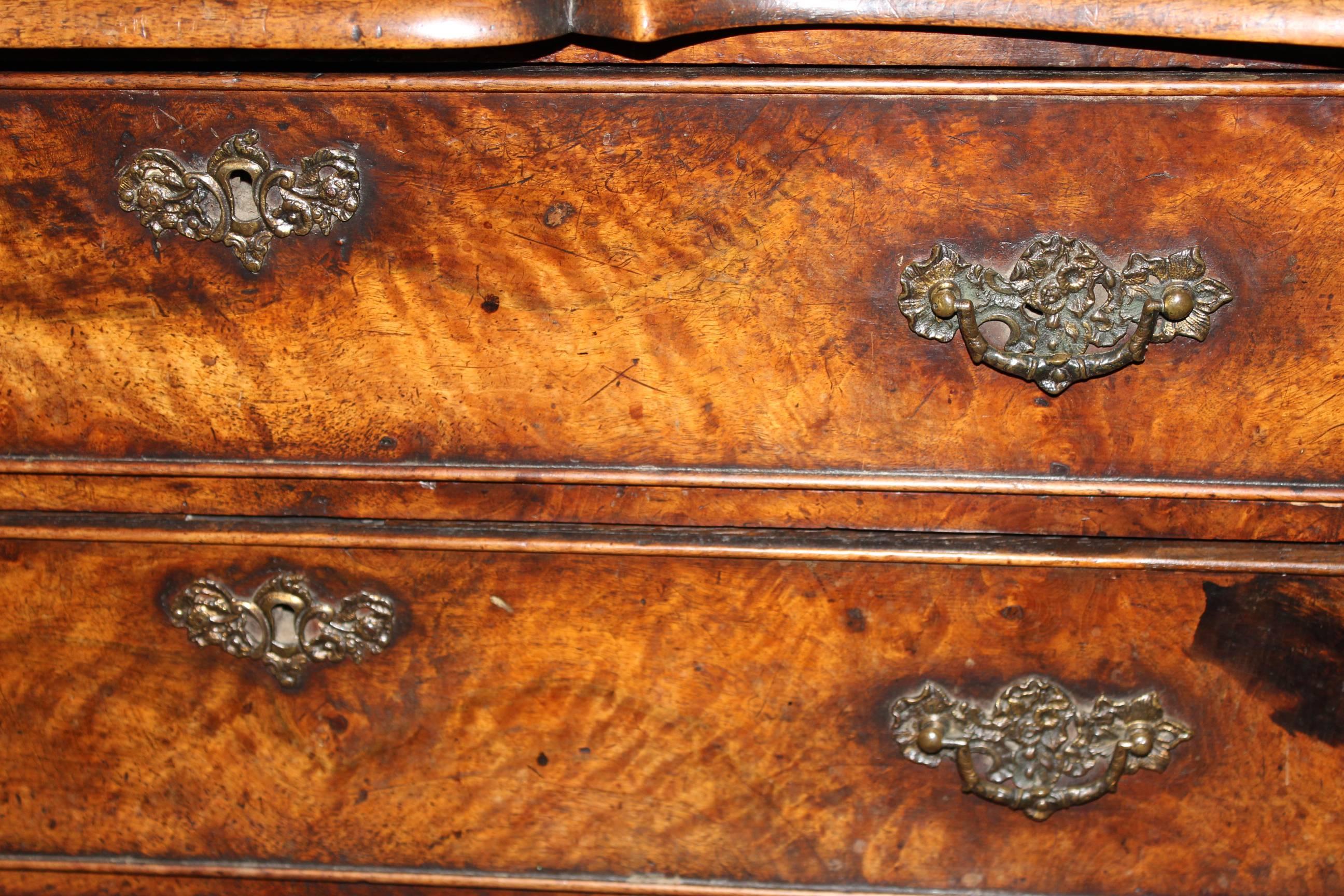 Diminutive 19th Century Dutch Bombe Oak and Walnut Chest or Commode 3